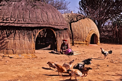 Village Zoulou (Shakaland)
