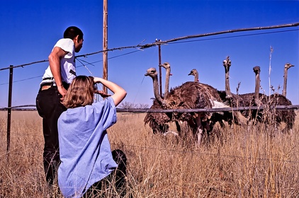 AFRIQUE DU SUD