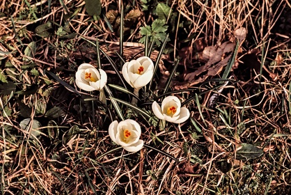 FRA19 - Corrèze
