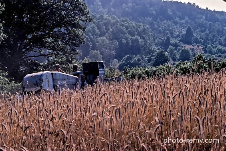 FRA19-0250-Corrèze.jpg