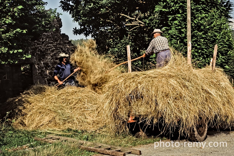 FRA19-0648-Corrèze.jpg