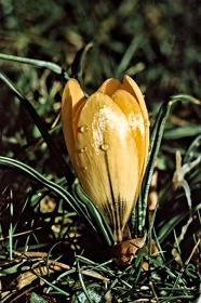 FRA19 - Corrèze