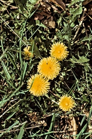 FRA19 - Corrèze